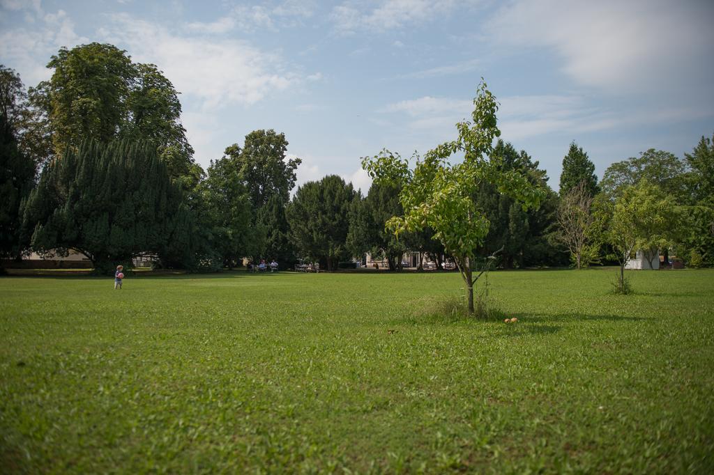 Parkhotel Tillmanns Eltville am Rhein Esterno foto